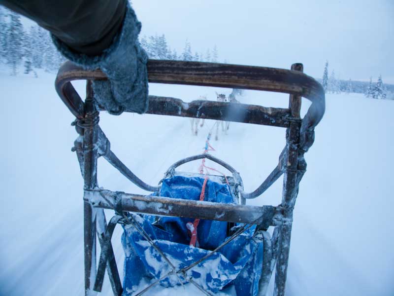 Het beste van Lapland, winteravontuur 2020/2021