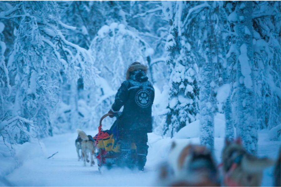 Belevenisweek het beste van Lapland, winteravontuur