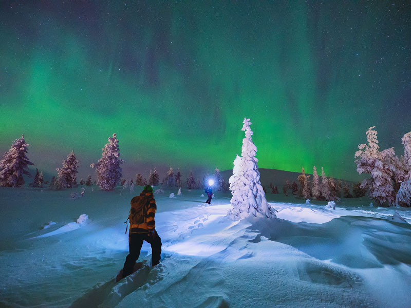 Het beste van Lapland, winteravontuur 2020/2021
