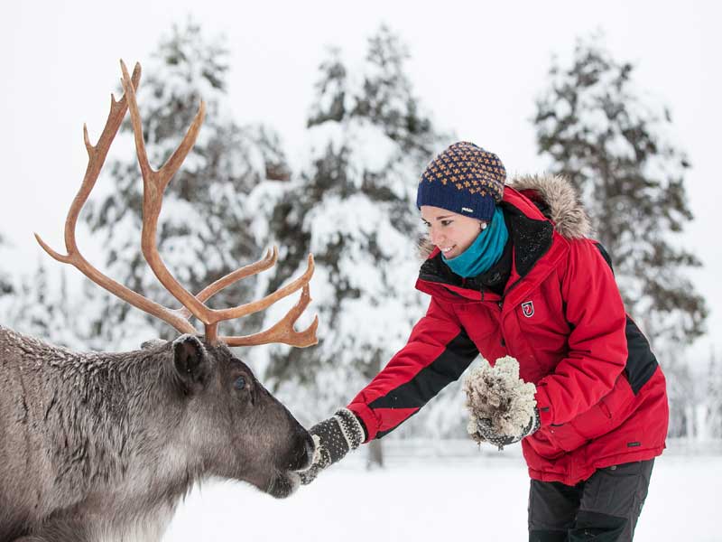 Het beste van Lapland, winteravontuur 2020/2021