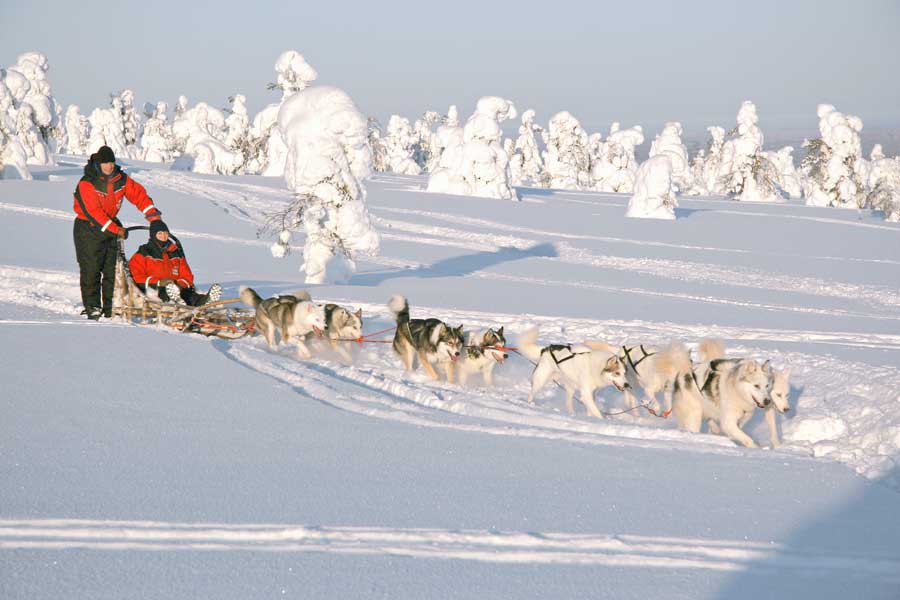Immelmokit Chalets, Levi Lapland 2021/2022