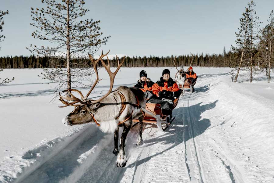 Immelmokit Chalets, Levi Lapland 2021/2022