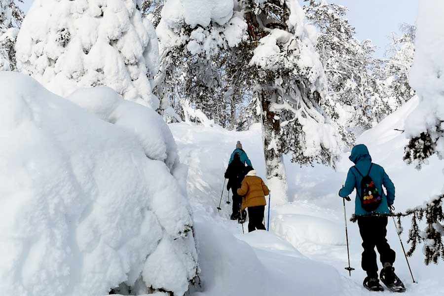 Yllashumina Chalets Akaslompolo, Lapland 2021/2022