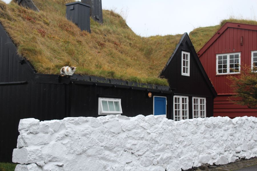 Torshavn Visit The Locals