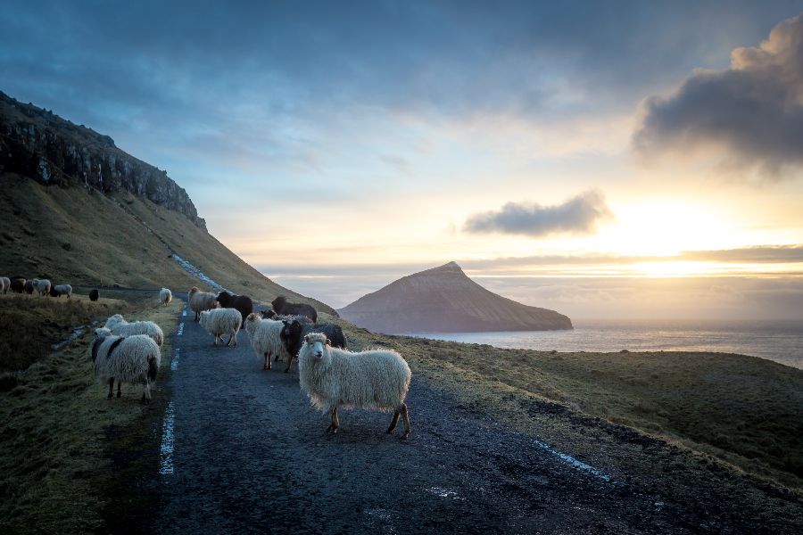 Combinatiereis IJsland en Faroer Eilanden 15 dagen 