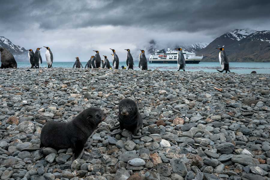 HX Expeditie Antarctica | Antarctica, Falklands & South Georgia