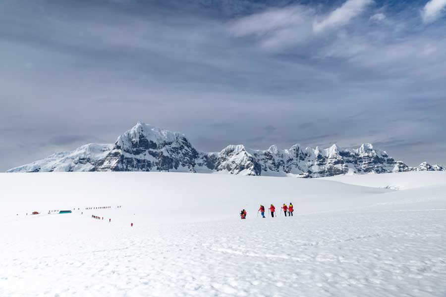 Hurtigruten Expeditie Antarctica & Falklands met BBI Travel