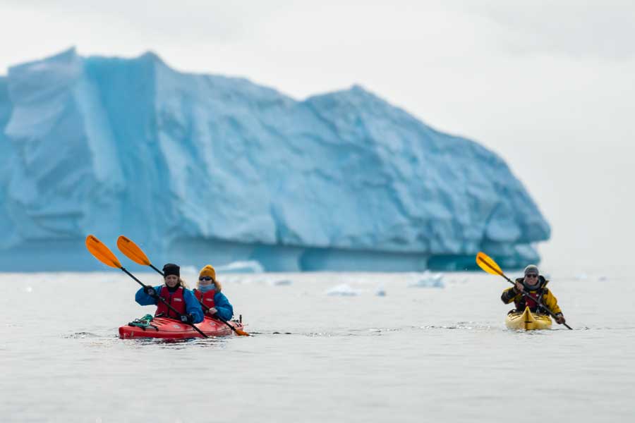 Hurtigruten Expeditie Antarctica & Falklands met BBI Travel