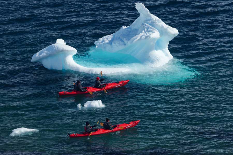 Hurtigruten expeditie Antarctica en de Falkland Eilanden met BBI Travel