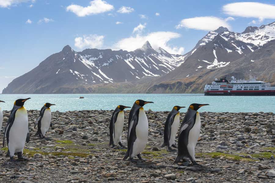 2024/25 *VROEGBOEK* 23-Daagse Hurtigruten Ultieme expeditie naar Antarctica, Falkland eilanden en South Georgia