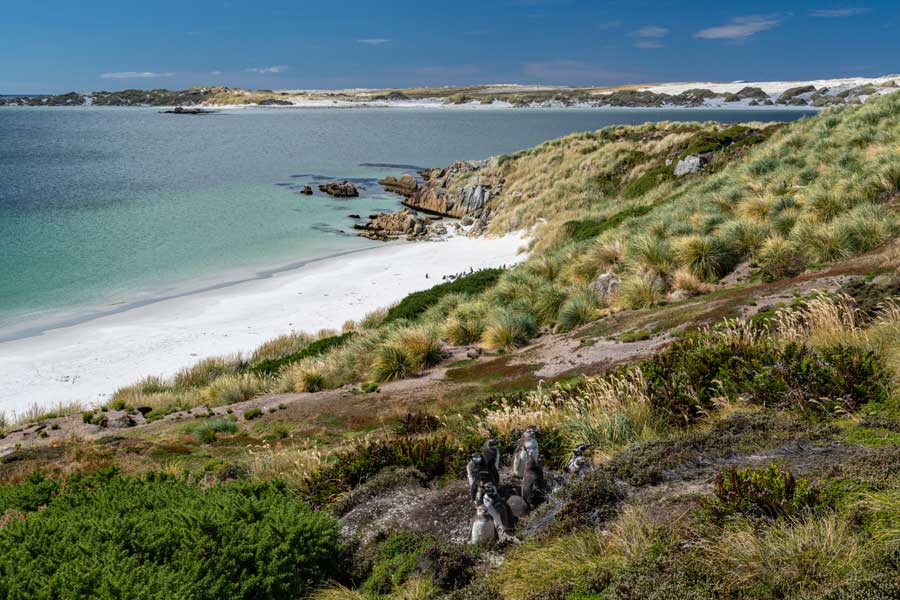 Hurtigruten expeditie Antarctica, Falkland eilanden en South Georgia