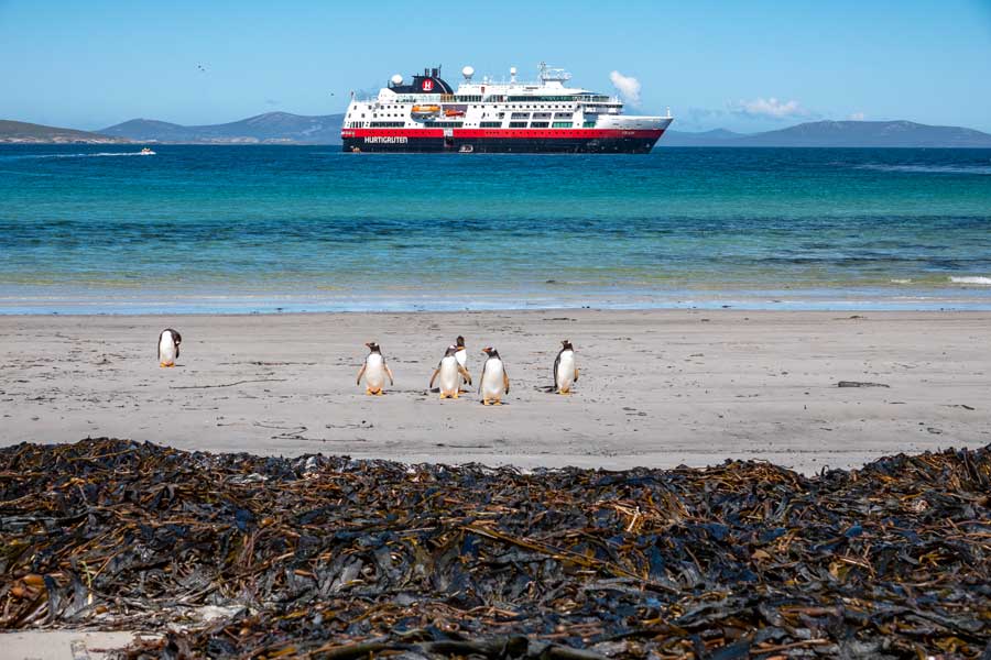 Hurtigruten expeditie Antarctica, Falkland eilanden en South Georgia