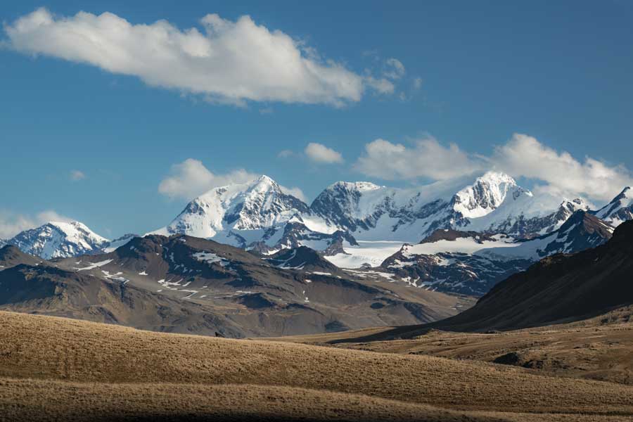 Hurtigruten expeditie Antarctica, Falkland eilanden en South Georgia