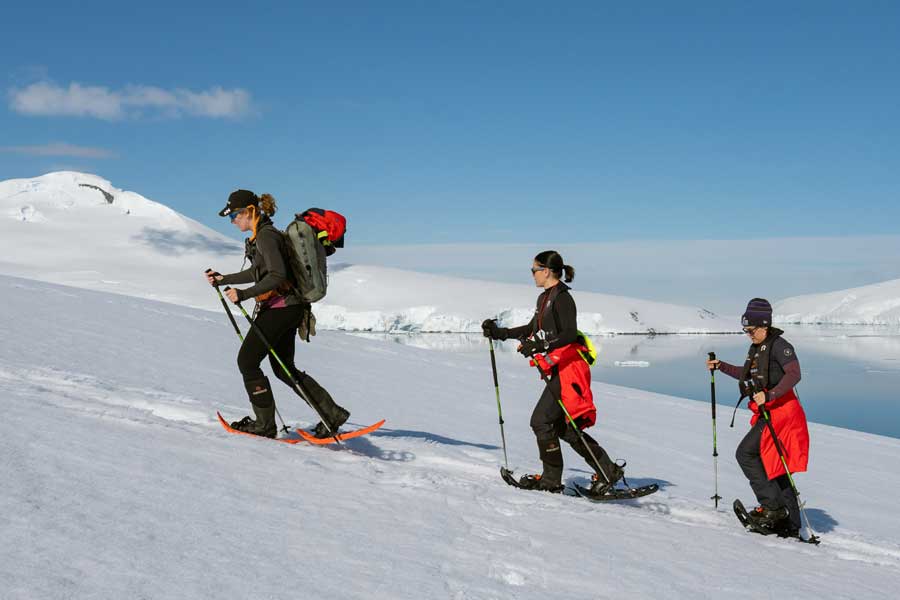 Hurtigruten expeditie Antarctica, Falkland eilanden en South Georgia