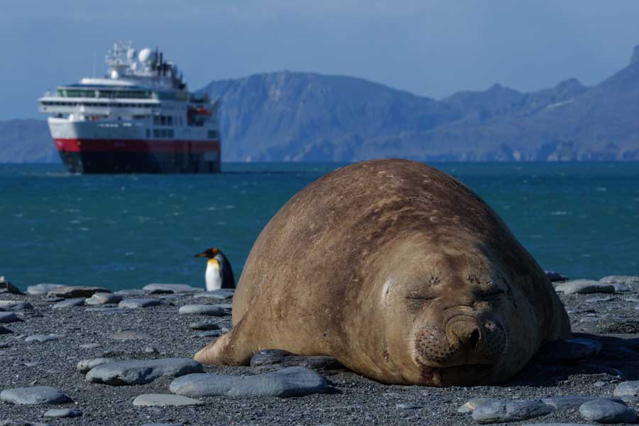 Hurtigruten expeditie Antarctica, South Georgia en Falkland Eilanden met BBI Travel
