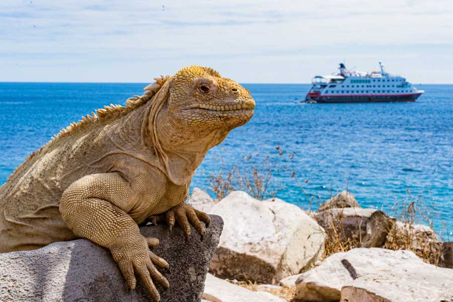 Expeditie Galapagos met BBI Travel