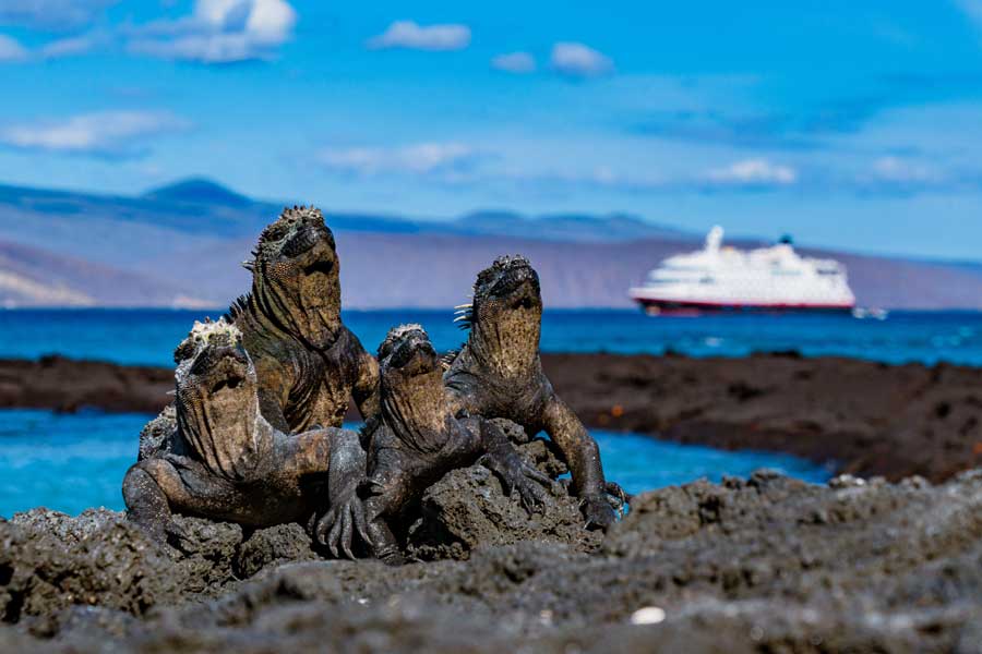 Expeditie Galapagos met BBI Travel