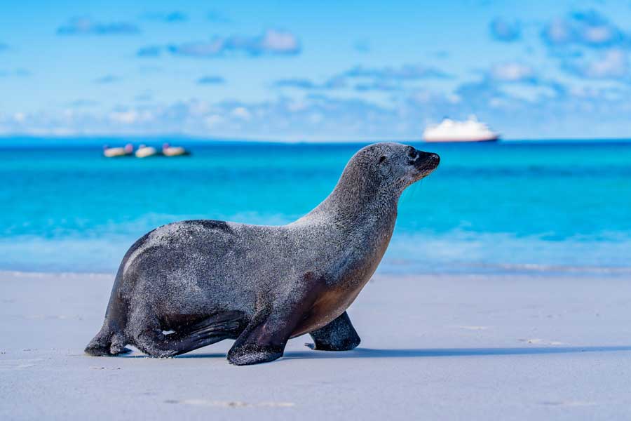 Hurtigruten expeditie Galapagos met BBI Travel