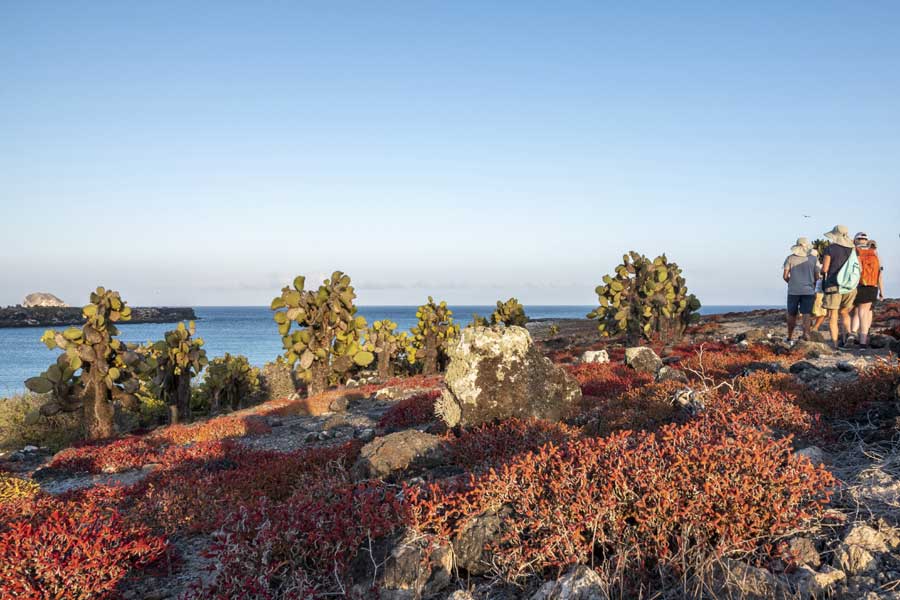 Hurtigruten expeditie Galapagos met BBI Travel