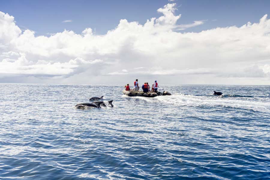 Hurtigruten expeditie Galapagos met BBI Travel