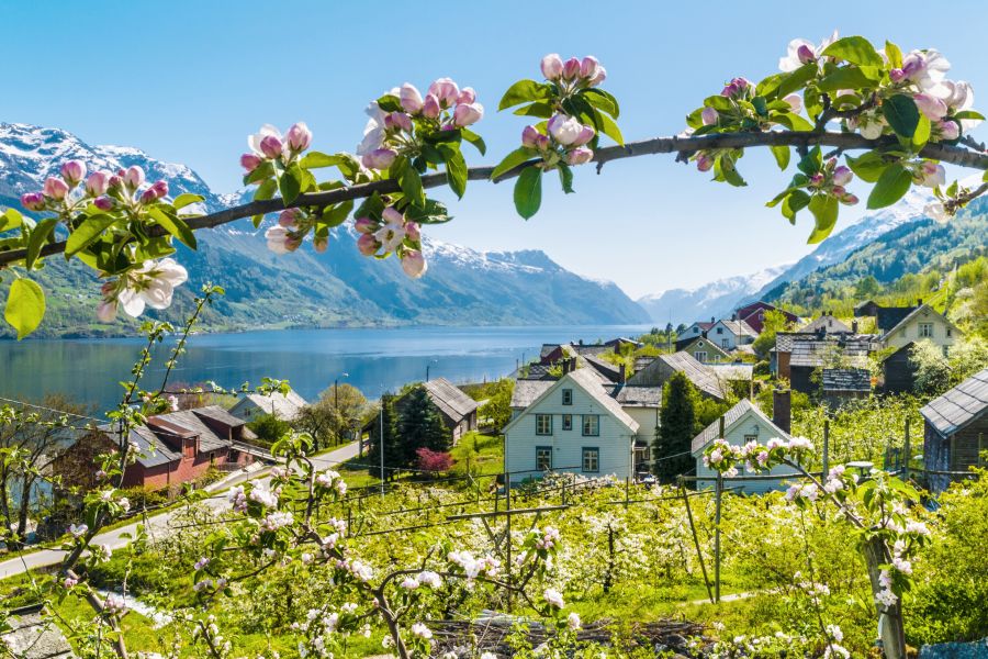 Hardangerfjord, Noorwegen
