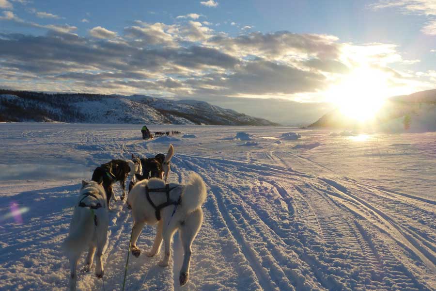 Hurtigruten zeereis Noorwegen Bergen-Kirkenes
