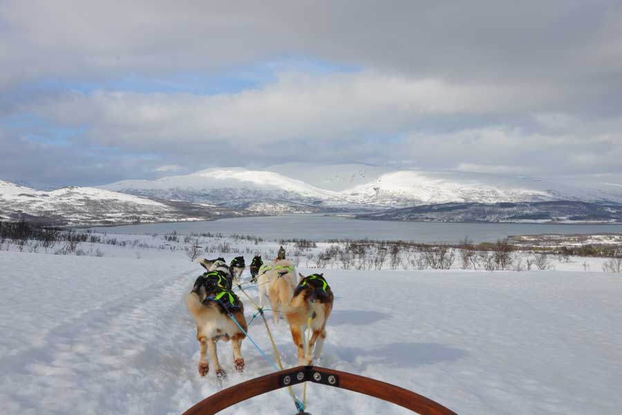Hurtigruten Noorderlichtreis Tromsø - Kirkenes - Tromsø met BBI Travel