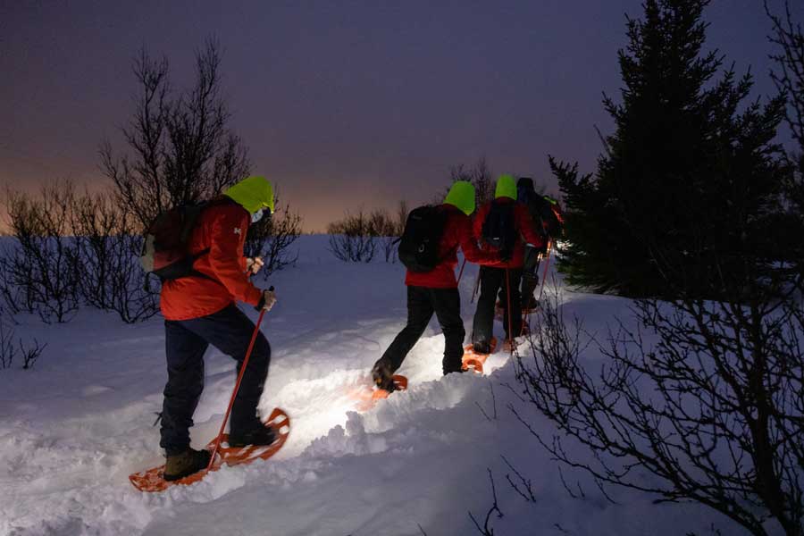 Hurtigruten Noorderlichtreis Tromsø - Kirkenes - Tromsø met BBI Travel