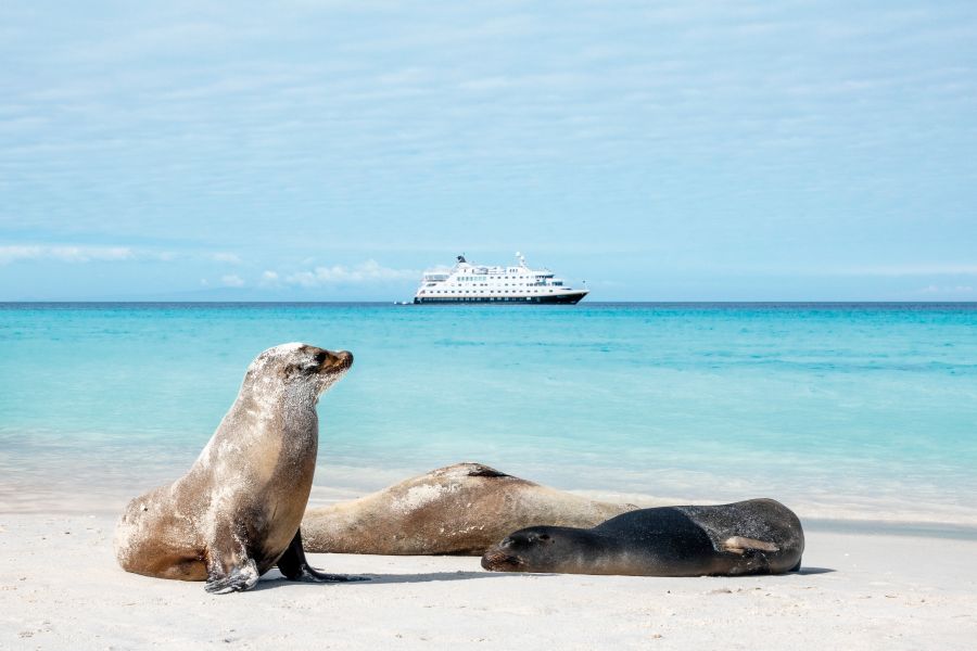 HX Expeditie Galapagos | In de voetsporen van Darwin