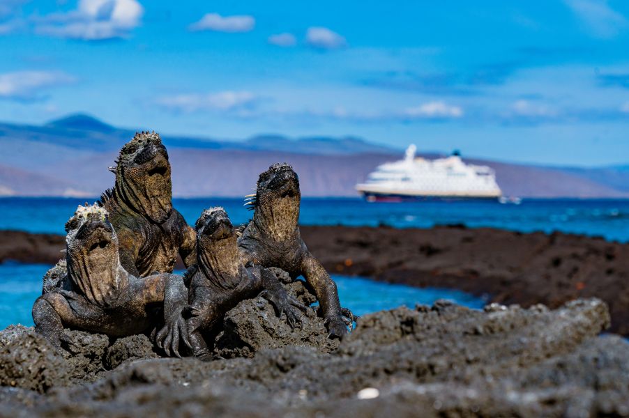 Expeditie Galapagos met BBI Travel