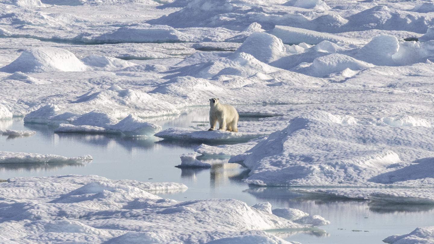 HX Expeditie Noordwest Passage | Naar de Top van de Wereld