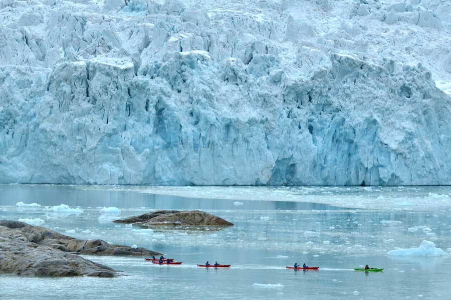 Dichterbij dan met een kajak kom je niet