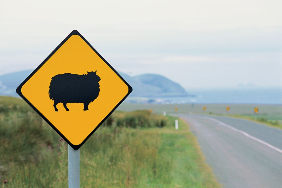 Schaap bord Ierland