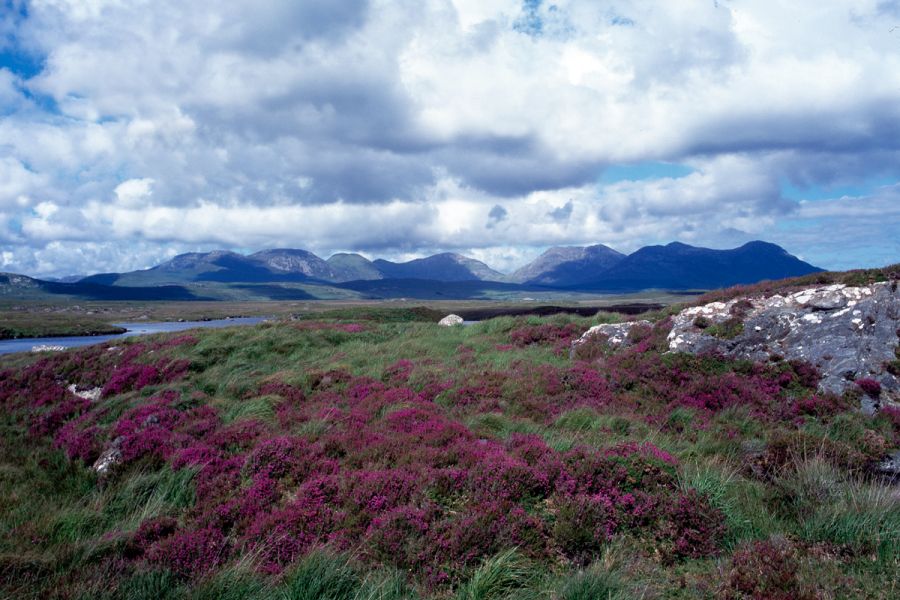 Connemara rondreis Ierland afwisselend verblijf