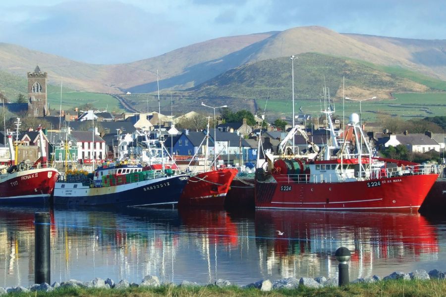 Dingle Harbour rondreis Ierland afwisselend verblijf