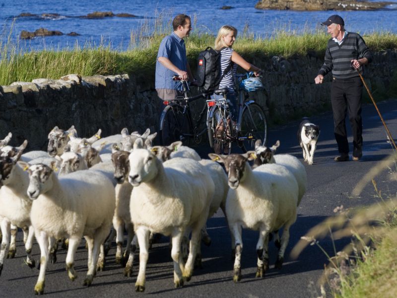 speed dating in Wales schapen Wat is de regel voor dating iemand jonger