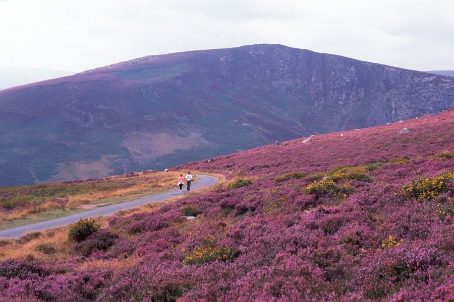 Wicklow Mountains rondreis Ierland afwisselend verblijf