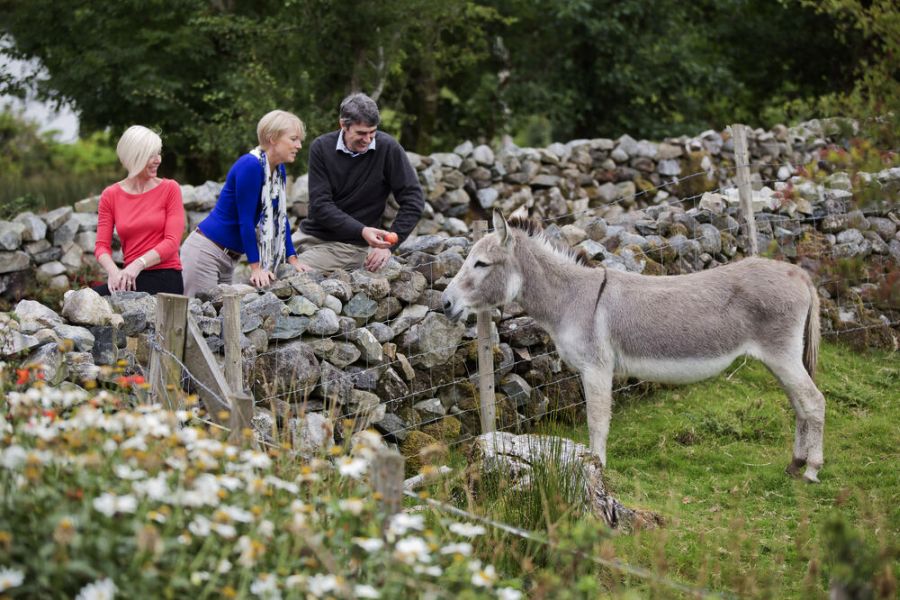 Ezel rondreis Ierland afwisselend verblijf