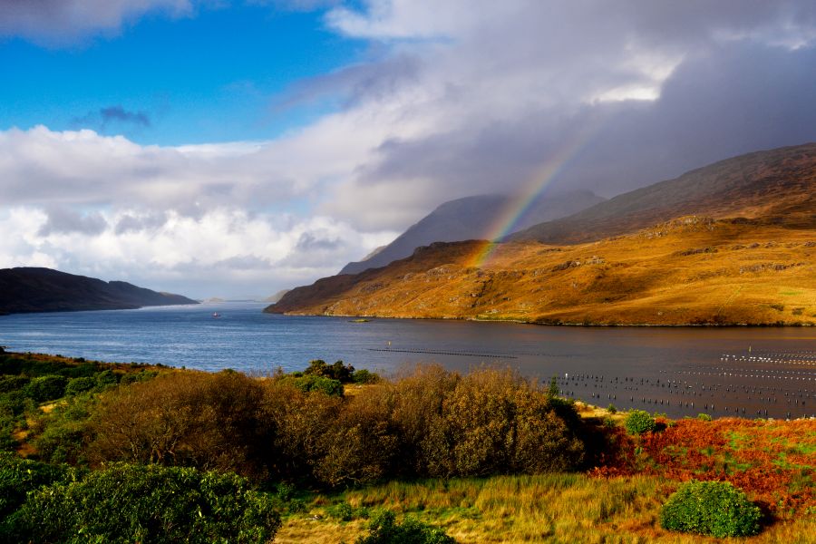 Connemara, Luxe touringcar, vlieg/busrondreis Schotland & Ierland