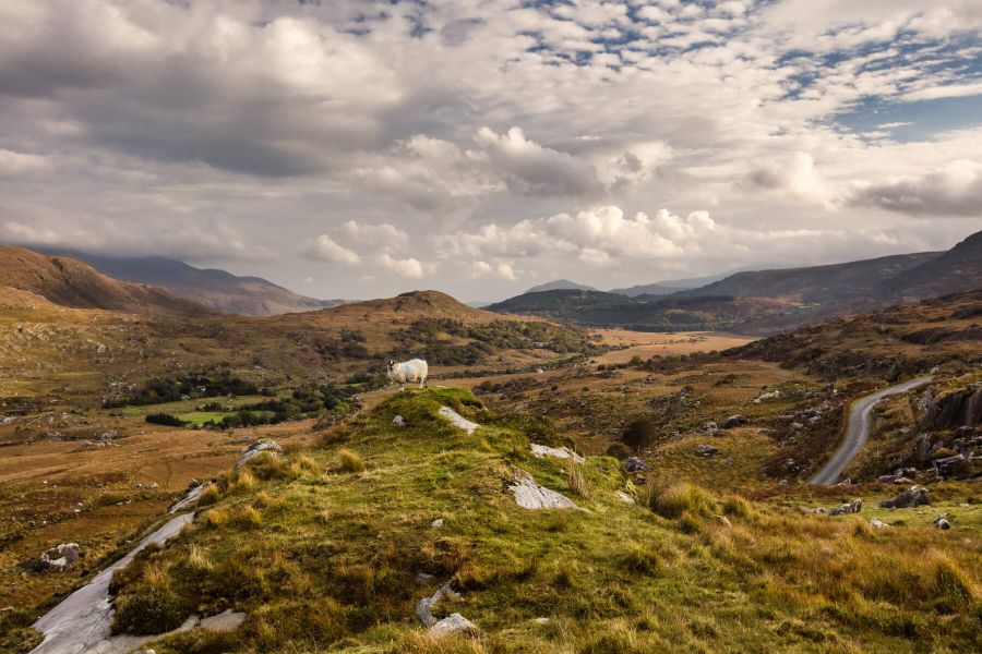 Dublin & Killarney - combinatie van stad en natuur