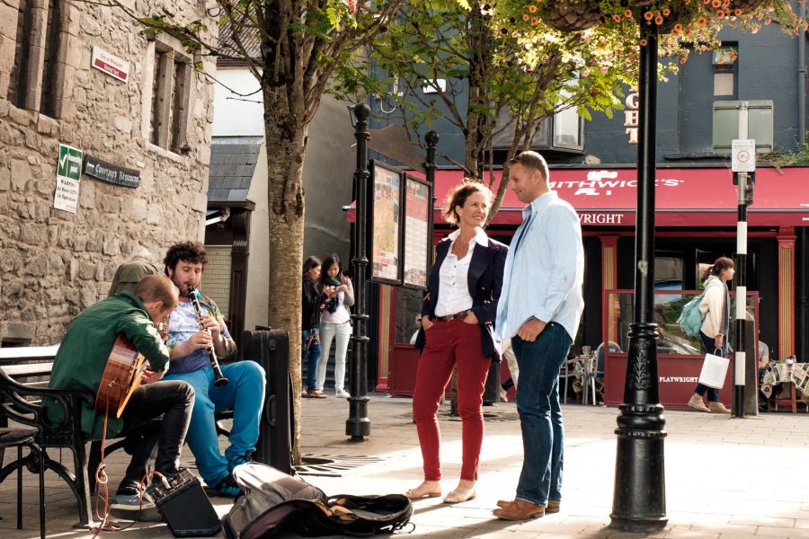 Wicklow Mountains & Kilkenny excursie