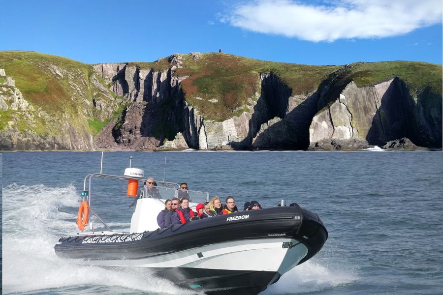Blasket Wildlife RIB Adventure - Dingle 