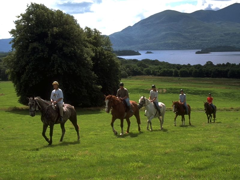 Paardrijden vanuit Killarney