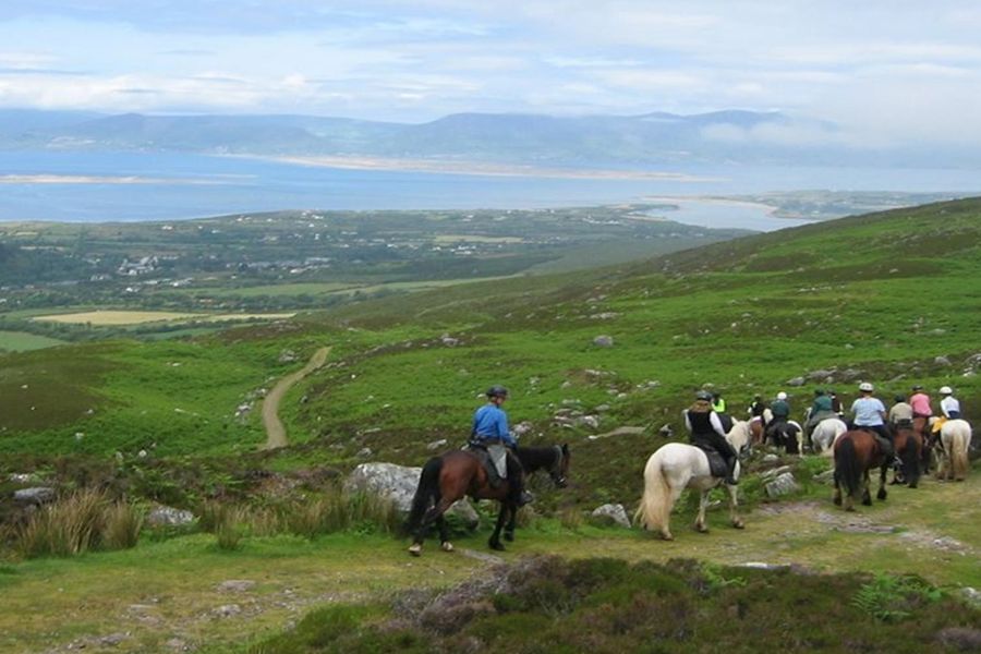 Paardrijden vanuit Killarney