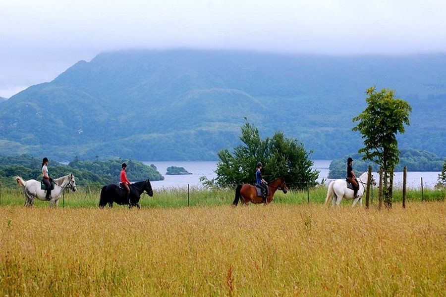 Paardrijden vanuit Killarney
