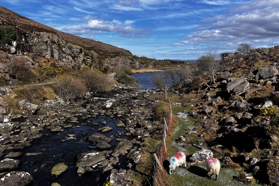 Gap Of Dunloe Adventure vanuit Killarney