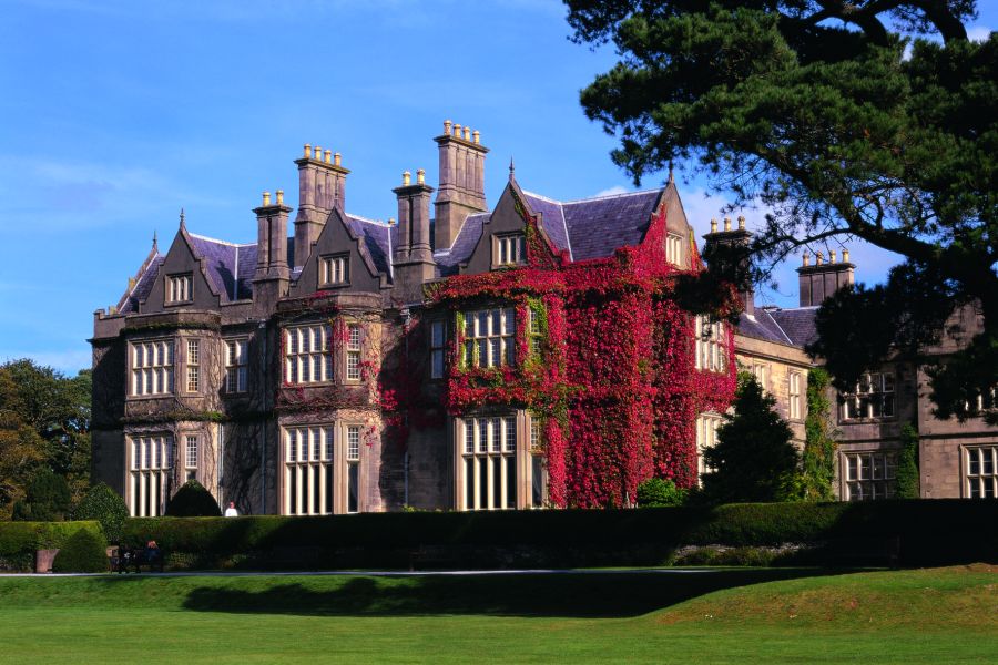 Killarney jaunting car tours