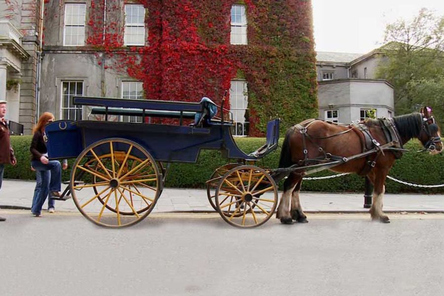 Killarney jaunting car tours