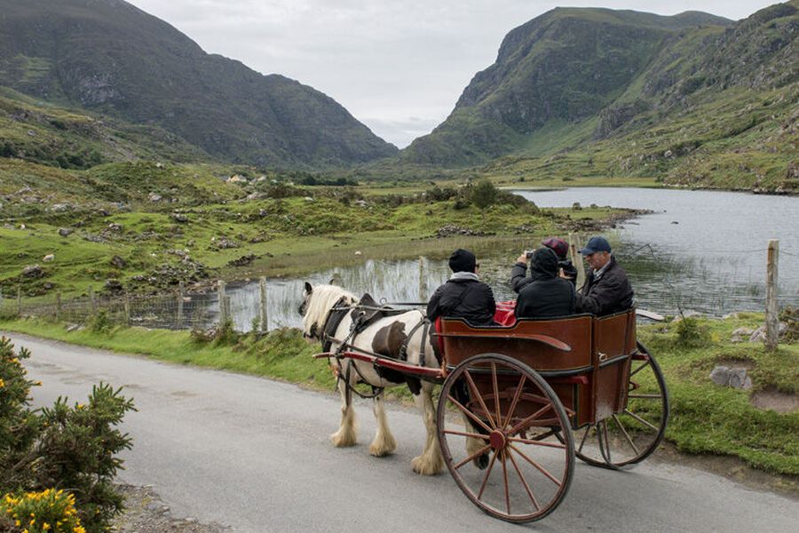 Killarney jaunting car tours