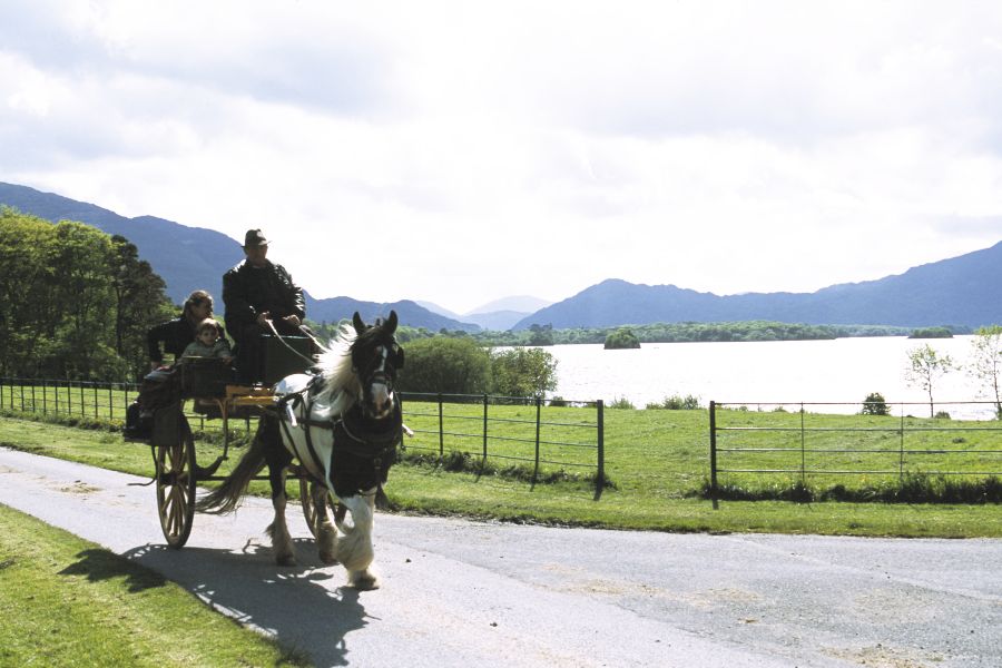 Killarney jaunting car tours